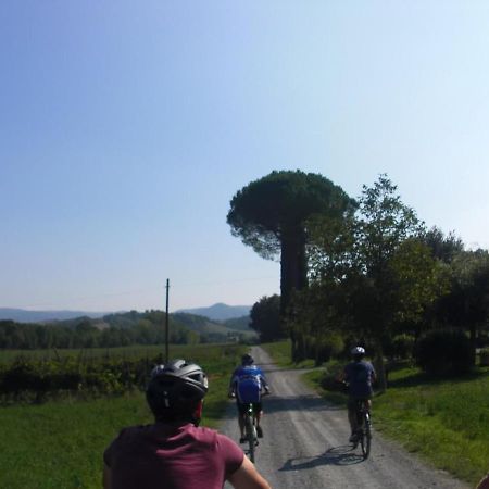 Podere Ripi Volterra Exterior foto